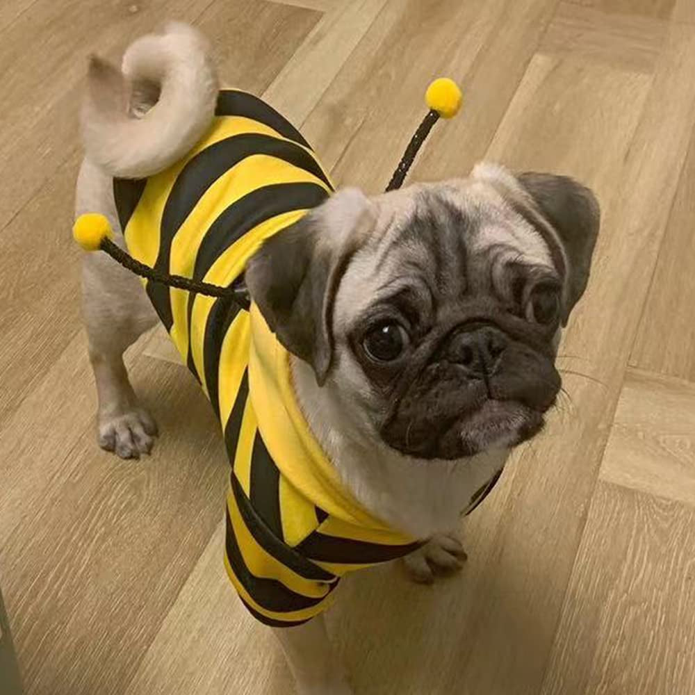 Buzo de Abejita con Capucha para Perros y Gatos