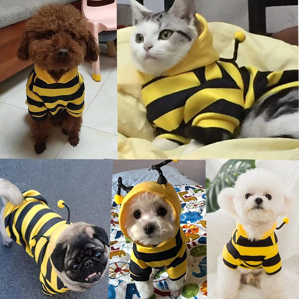 Buzo de Abejita con Capucha para Perros y Gatos